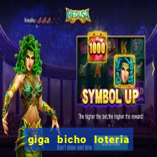 giga bicho loteria dos sonhos